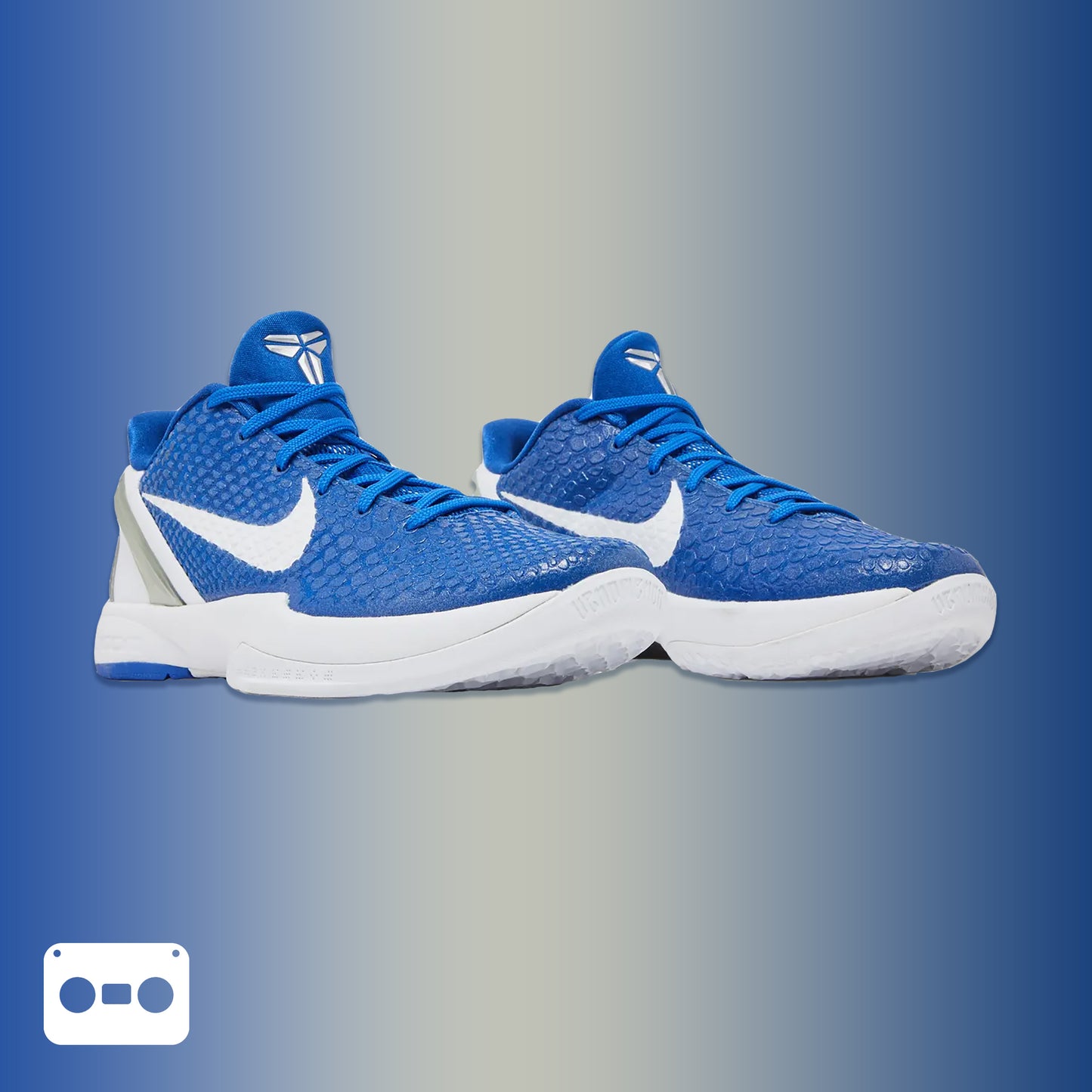 #Kobe #6 #TB #VarsityRoyal